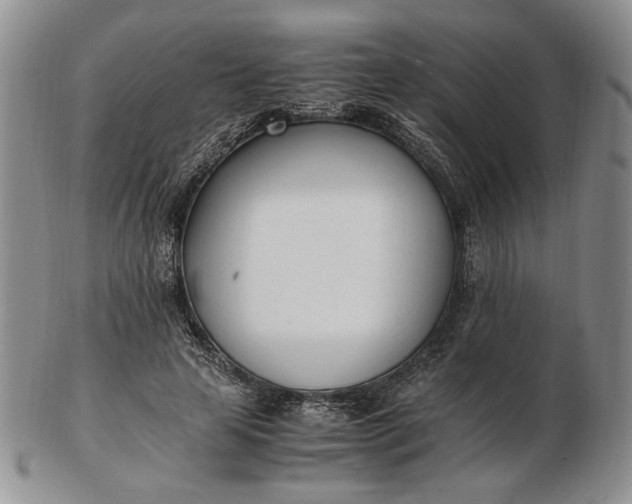 X0000102760641200809021008