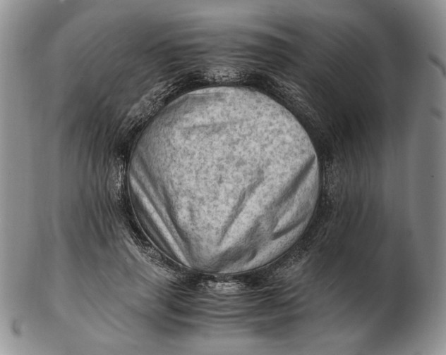 X0000102760645200809021008