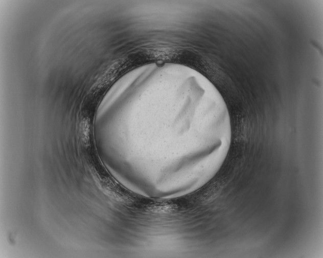 X0000102760646200809021008