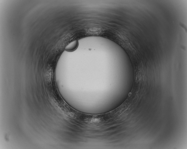 X0000102760647200809021008