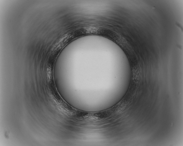 X0000102760648200809021008