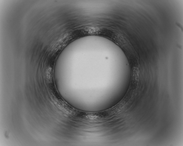 X0000102760650200809021008