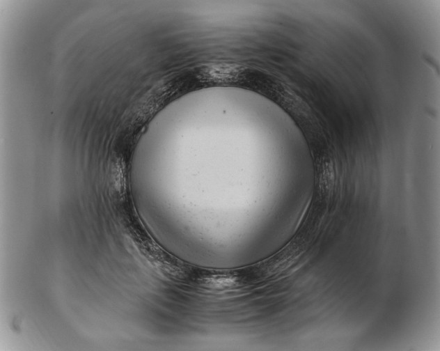 X0000102760651200809021008