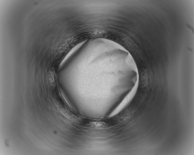 X0000102760654200809021008