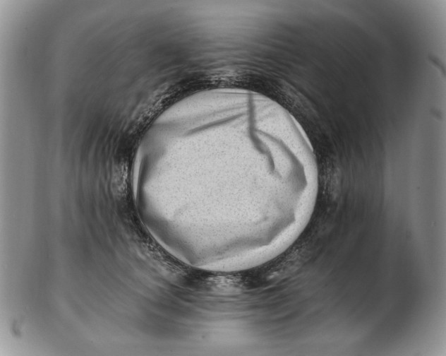 X0000102760660200809021008