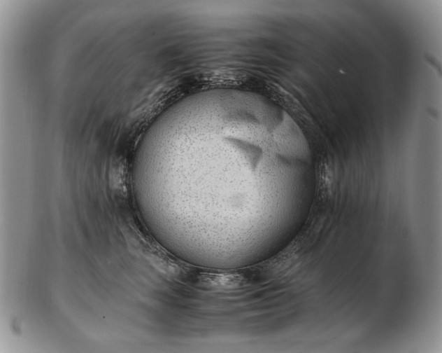 X0000102760663200809021008