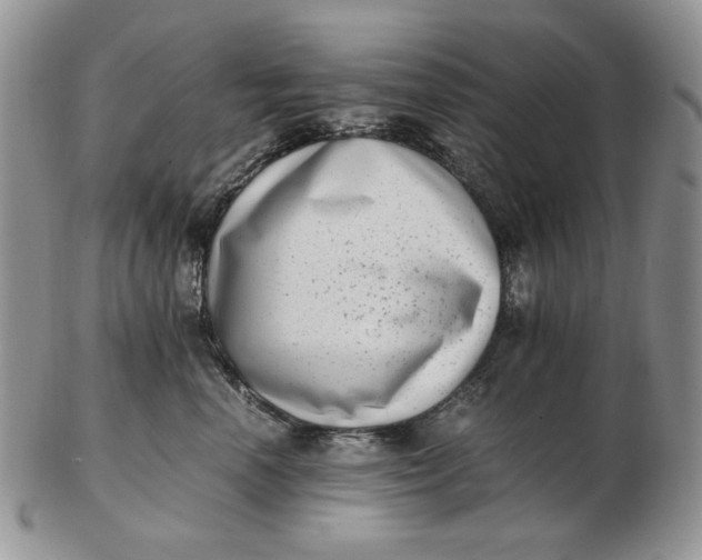 X0000102760666200809021008