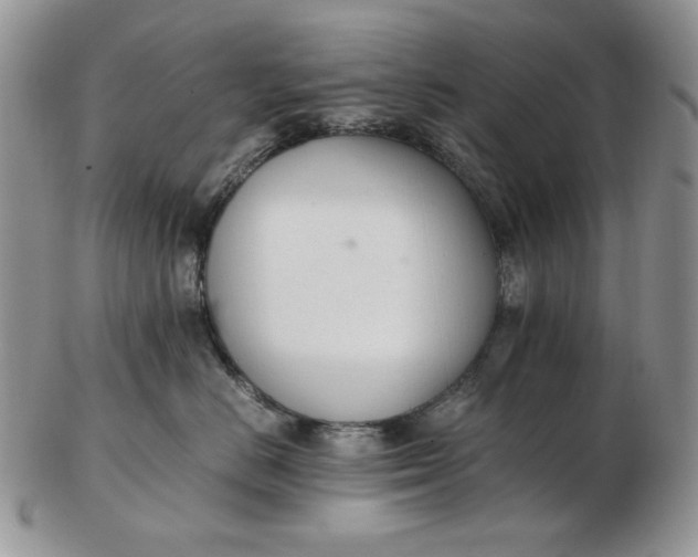 X0000102760670200809021008