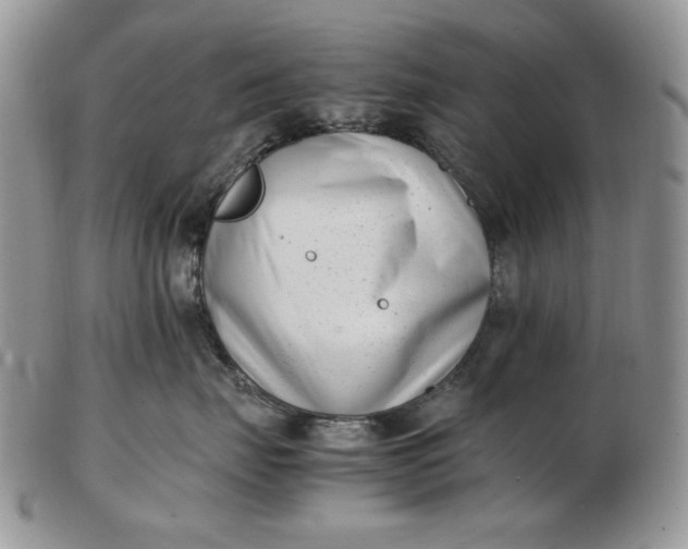 X0000102760671200809021008