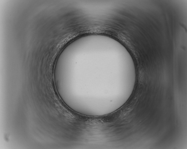 X0000102760673200809021008