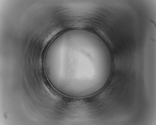 X0000102760674200809021008