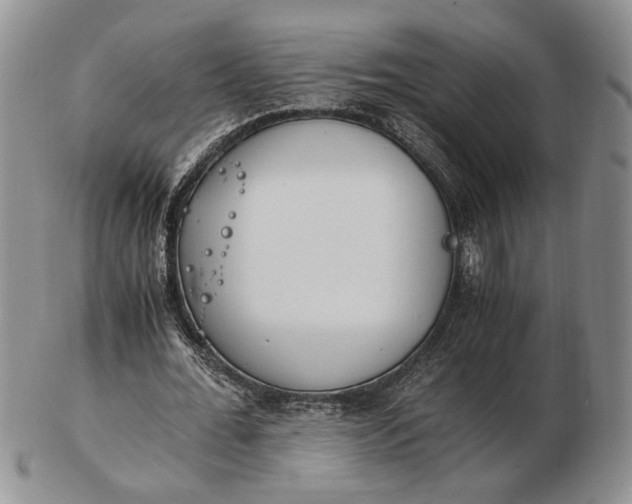 X0000102760676200809021008