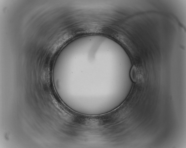 X0000102760677200809021008