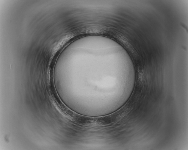 X0000102760678200809021008