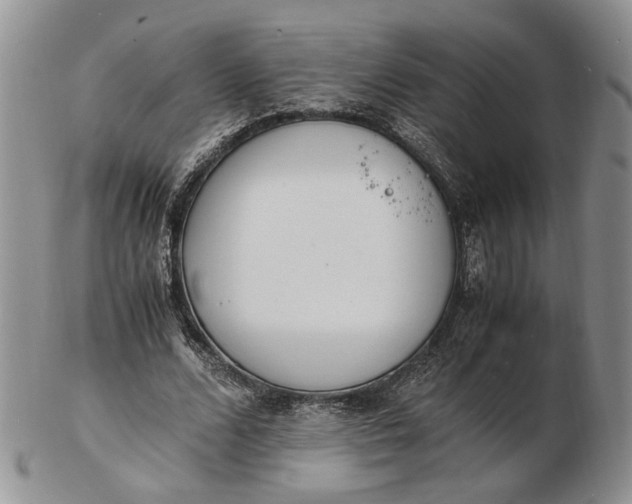 X0000102760680200809021008