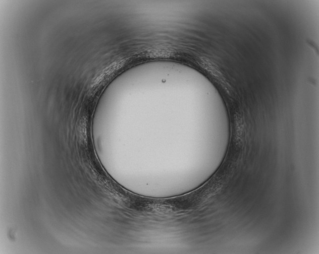 X0000102760681200809021008