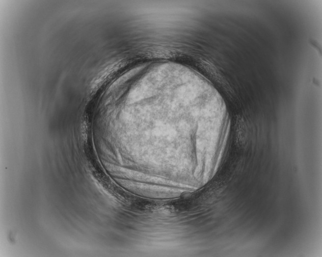 X0000102760683200809021008