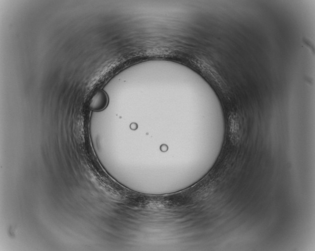 X0000102760684200809021008