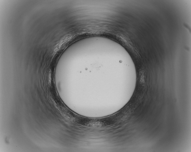 X0000102760685200809021008