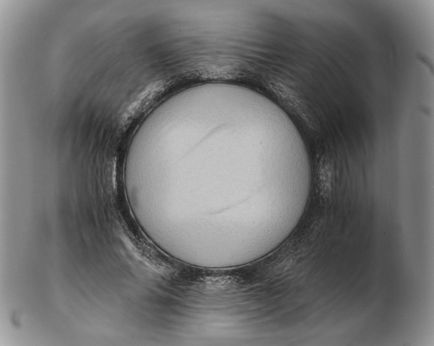 X0000102760686200809021008