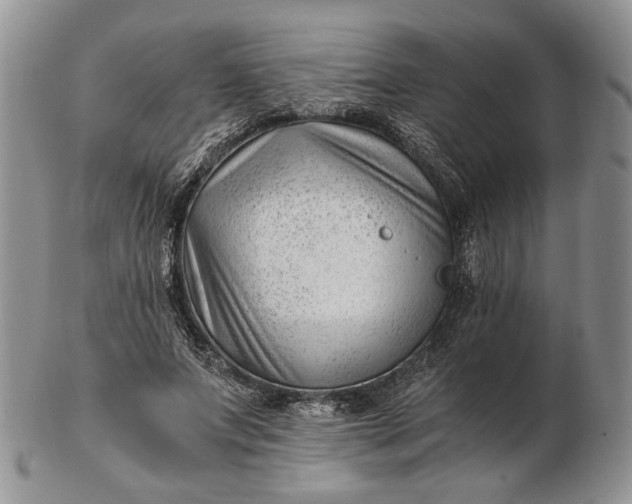 X0000102760687200809021008