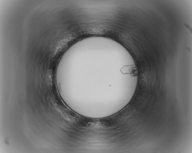 X0000102760688200809021008