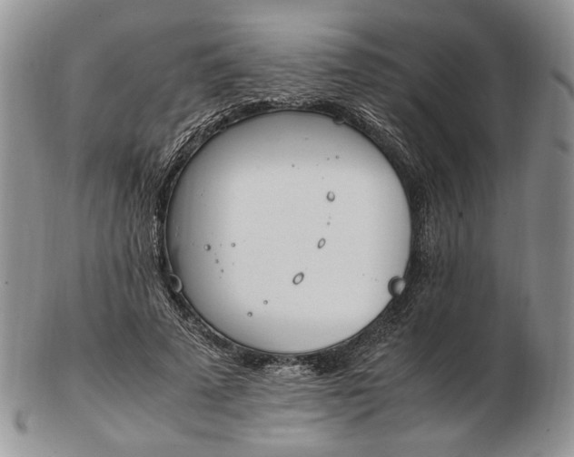 X0000102760689200809021008