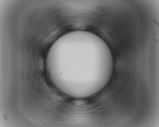 X0000102760693200809021007