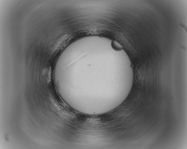 X0000102760694200809021007