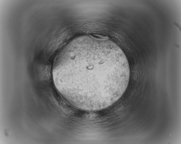 X0000102760695200809021007