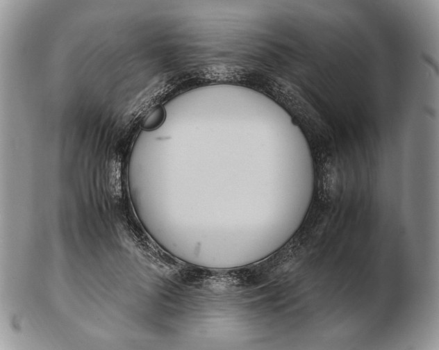 X0000102760696200809021007