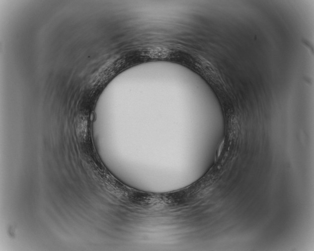 X0000102760697200809021007