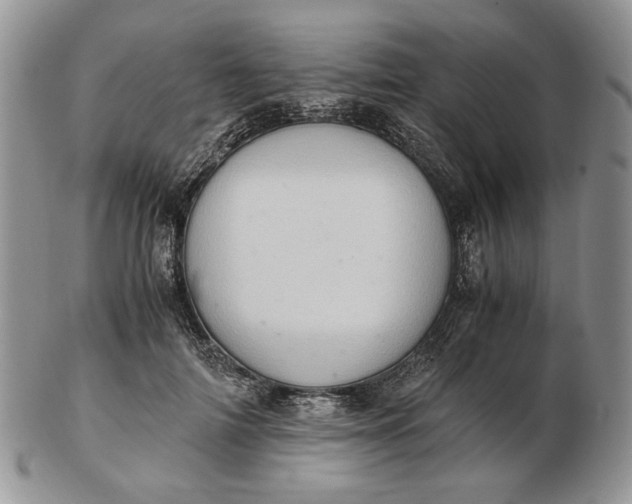 X0000102760698200809021007