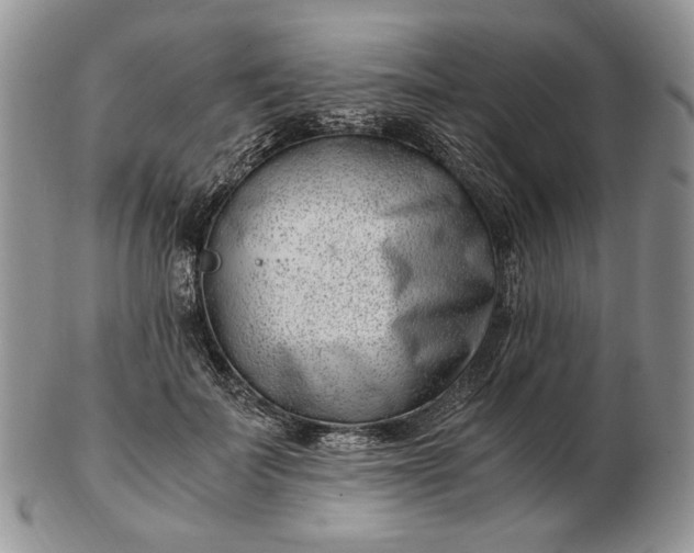 X0000102760699200809021007