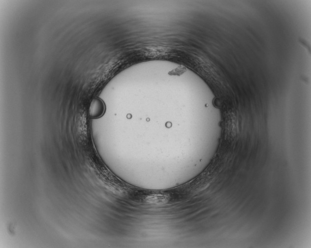 X0000102760700200809021007