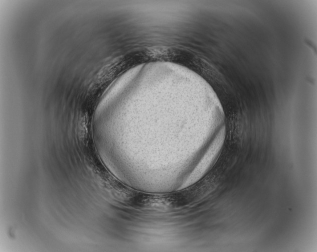 X0000102760702200809021007