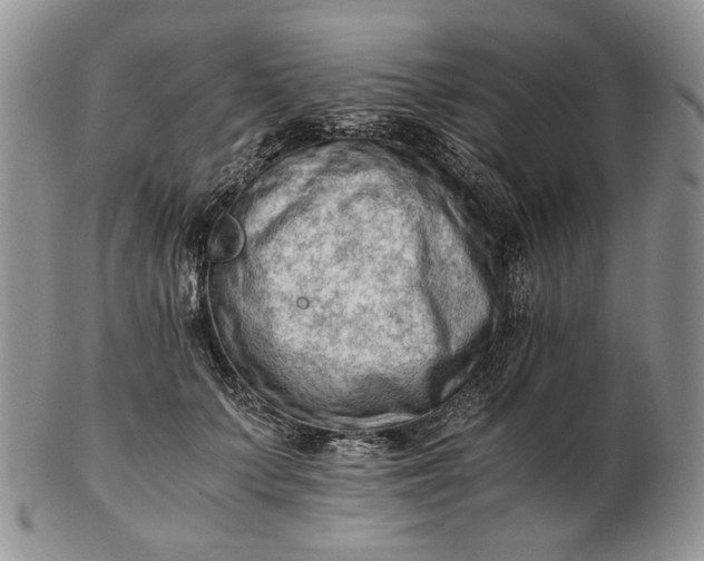 X0000102760703200809021007