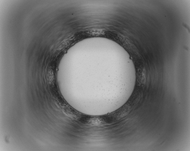 X0000102760704200809021007