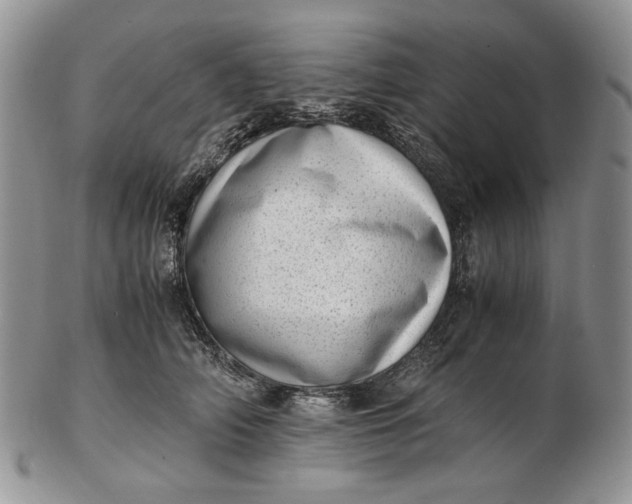 X0000102760706200809021007