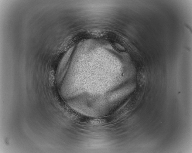 X0000102760707200809021007