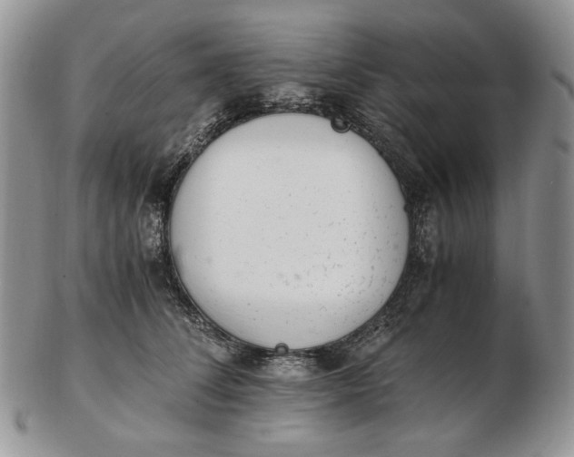 X0000102760708200809021007