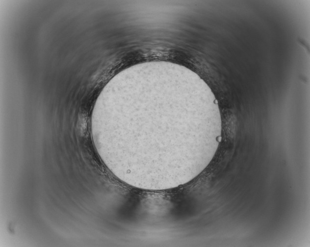 X0000102760709200809021007