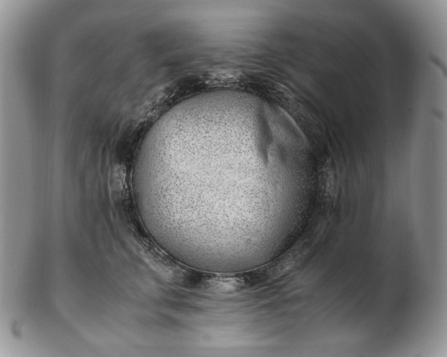 X0000102760711200809021007