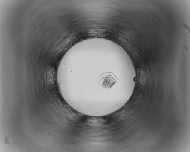 X0000102760712200809021007