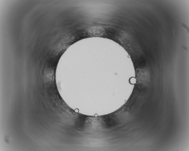 X0000102760713200809021007