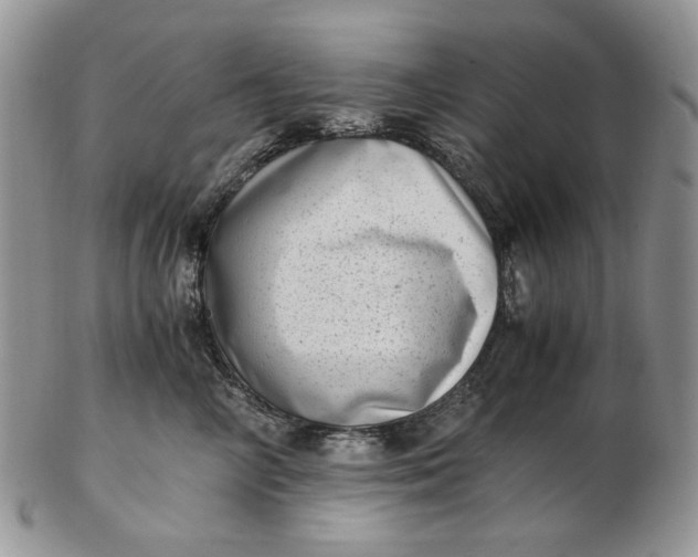 X0000102760714200809021007