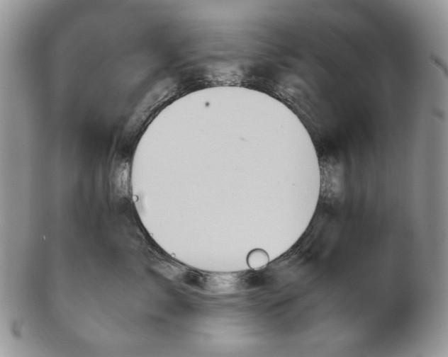 X0000102760717200809021007