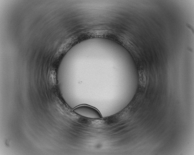 X0000102760718200809021007