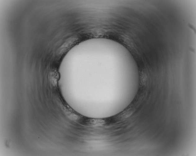 X0000102760719200809021007