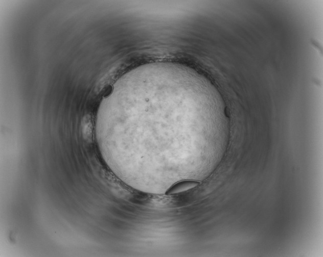 X0000102760720200809021007